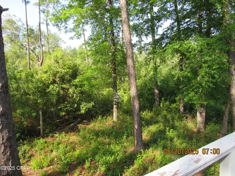 Exterior - tbd Topaz Cir, Chipley, FL 32428 photo 7 of 11