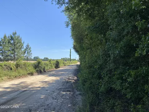 00 Bevis Rd, Malone, FL 32445 photo 5