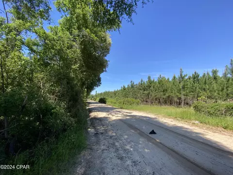 00 Bevis Rd, Malone, FL 32445 photo 3