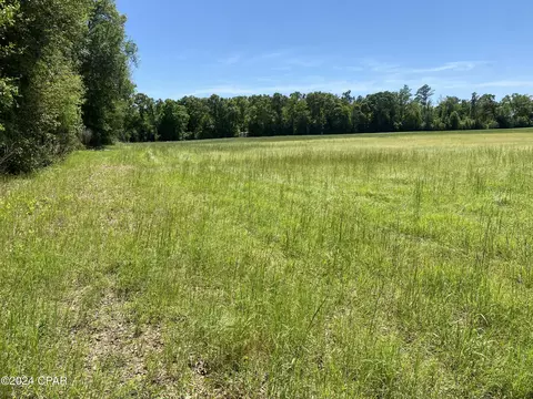 00 Bevis Rd, Malone, FL 32445 photo 6
