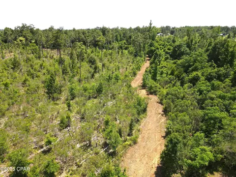 0 Betlehem Rd, Cottondale, FL 32431 photo 22