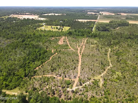 0 Betlehem Rd, Cottondale, FL 32431 photo 8