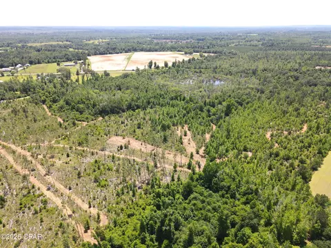 0 Betlehem Rd, Cottondale, FL 32431 photo 10