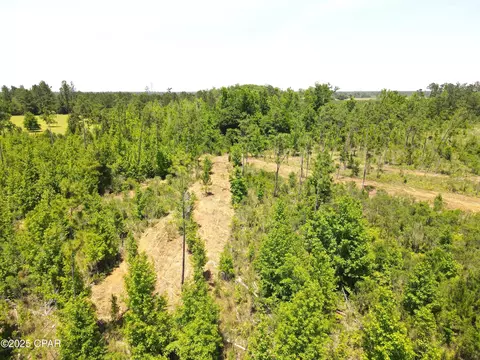 0 Betlehem Rd, Cottondale, FL 32431 photo 13