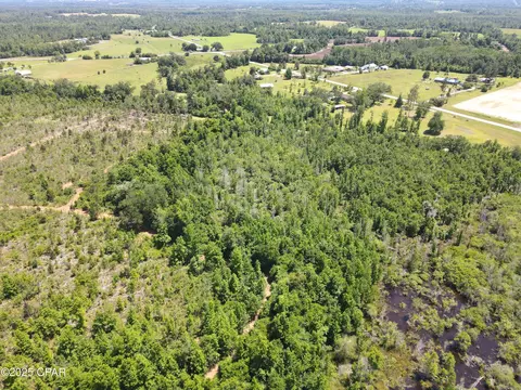 0 Betlehem Rd, Cottondale, FL 32431 photo 20