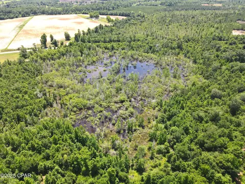0 Betlehem Rd, Cottondale, FL 32431 photo 18