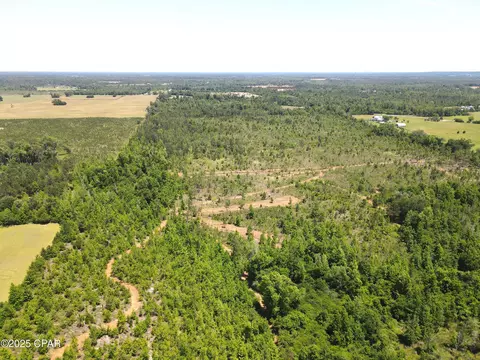 0 Betlehem Rd, Cottondale, FL 32431 photo 16