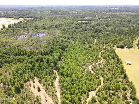 0 Betlehem Rd, Cottondale, FL 32431 photo 15