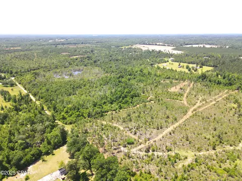 0 Betlehem Rd, Cottondale, FL 32431 photo 9