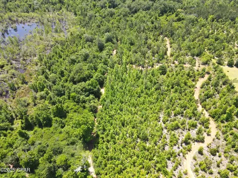 0 Betlehem Rd, Cottondale, FL 32431 photo 17