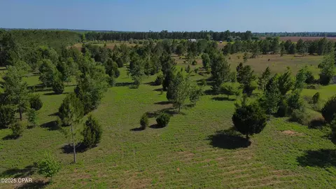 0 Suncrest Rd, Marianna, FL 32448 photo 6