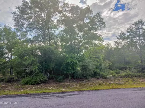 lot20 Velvet Dr, Chipley, FL 32428
