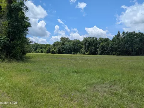 0 Gray Ln, Campbellton, FL 32426