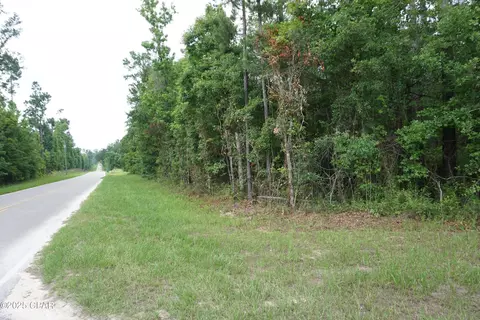 Nnn Hammond Road, Sneads, FL 32460