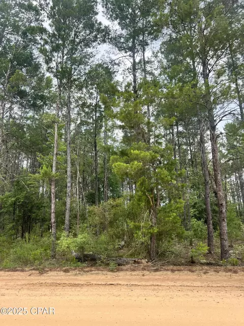 00 Fawnridge Dr, Chipley, FL 32428