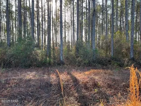 12 Douglas Landing Rd, Wewahitchka, FL 32465