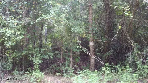 0 Tj Mitchell Rd, Bonifay, FL 32425