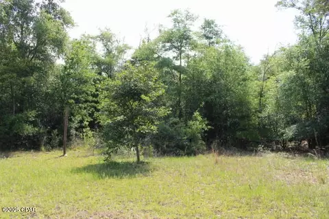 5929 Nichols Rd, Bascom, FL 32423 photo 19