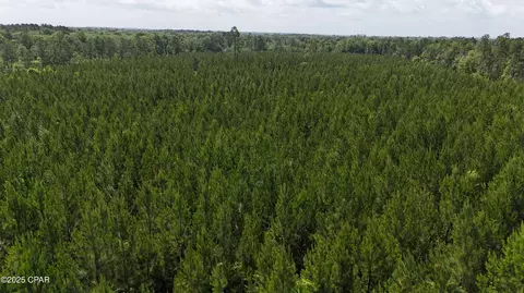 00 Douglas Ferry Rd, Chipley, FL 32428 photo 3