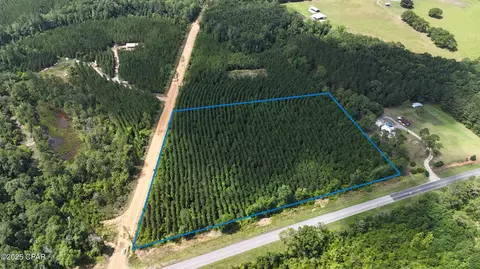 00 Douglas Ferry Rd, Chipley, FL 32428 photo 2
