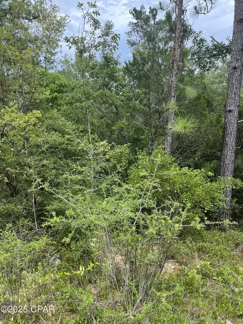 00 Aster Cir, Marianna, FL 32448