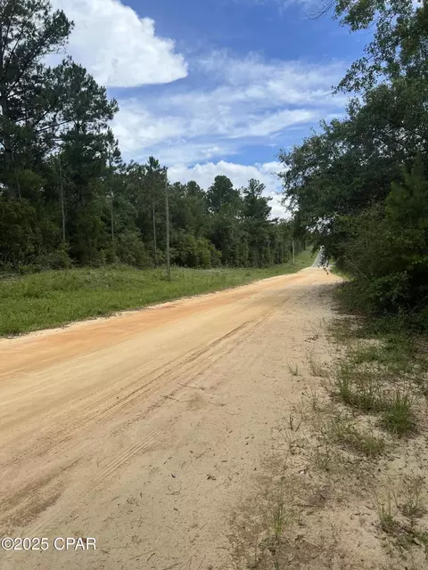 25 Aster Cir, Marianna, FL 32448