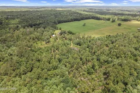 1653 Ledger Rd, Chipley, FL 32428 photo 2