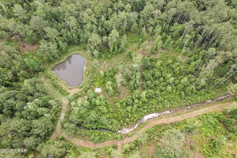 1653 Ledger Rd, Chipley, FL 32428 photo 27