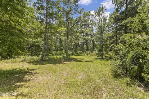 1653 Ledger Rd, Chipley, FL 32428 photo 14