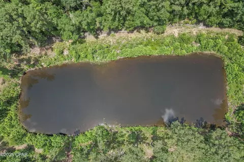 1653 Ledger Rd, Chipley, FL 32428 photo 32