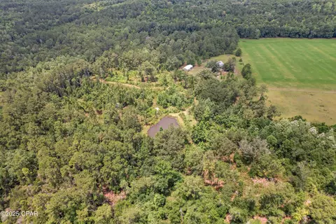 1653 Ledger Rd, Chipley, FL 32428 photo 17
