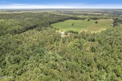 1653 Ledger Rd, Chipley, FL 32428 photo 3