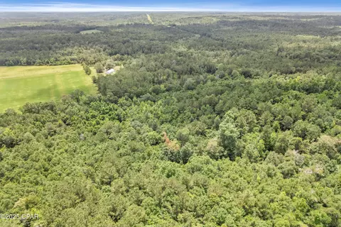1653 Ledger Rd, Chipley, FL 32428 photo 5