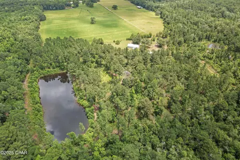 1653 Ledger Rd, Chipley, FL 32428 photo 4