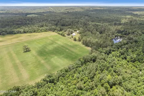 1653 Ledger Rd, Chipley, FL 32428 photo 19