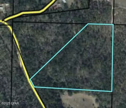NNN Ben Road #32428, Chipley, FL 32428 photo 2