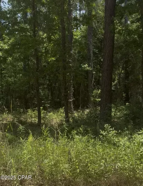 NNN Ben Road #32428, Chipley, FL 32428