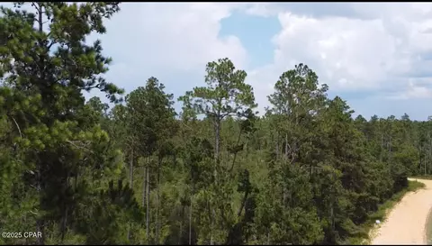 0 Black Hills St, Alford, FL 32420