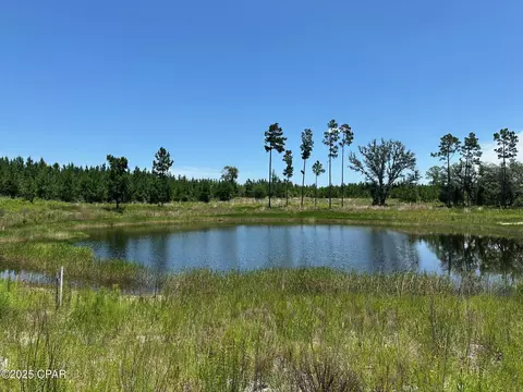 000 NW Camp Head Rd, Altha, FL 32421