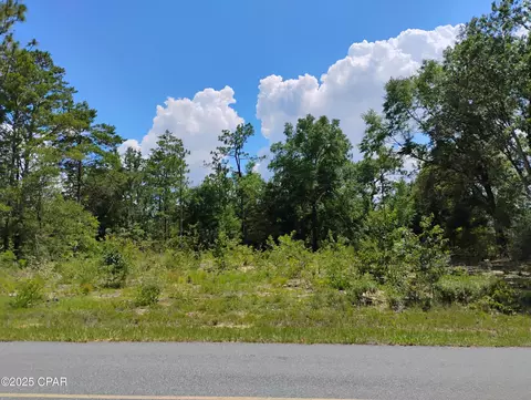 lot2 Walkerton Dr, Chipley, FL 32428