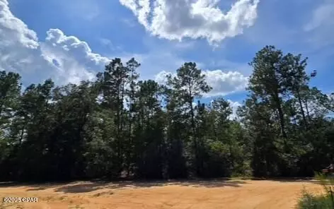 lot2 Jackson Rd, Marianna, FL 32448