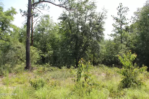 tbd Yorkshire Dr, Chipley, FL 32428 photo 4