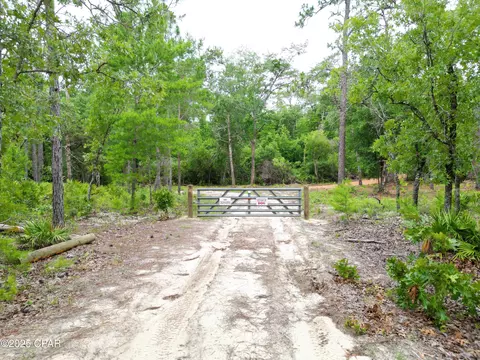 tbd Lowery Acres Rd, Hosford, FL 32334