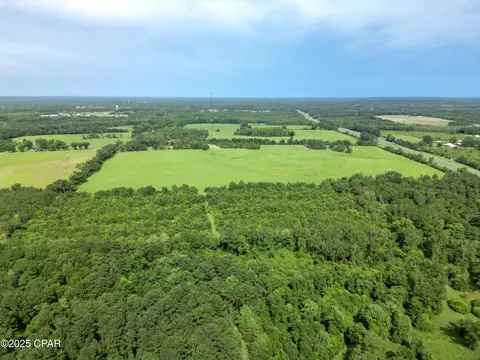 000 Oswald Rd, Chipley, FL 32428 photo 11
