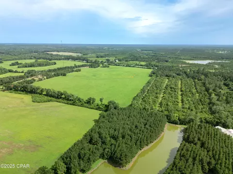 000 Oswald Rd, Chipley, FL 32428 photo 8