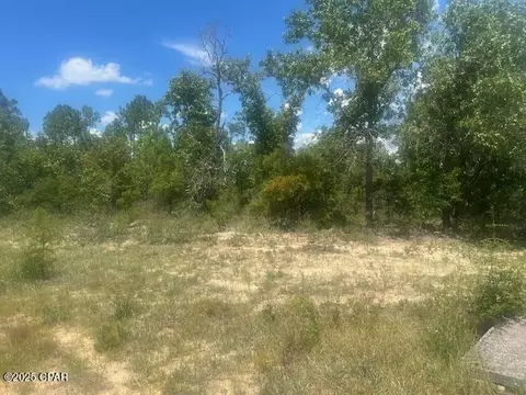 tbd Cachet Ct #9, Chipley, FL 32428 photo 3