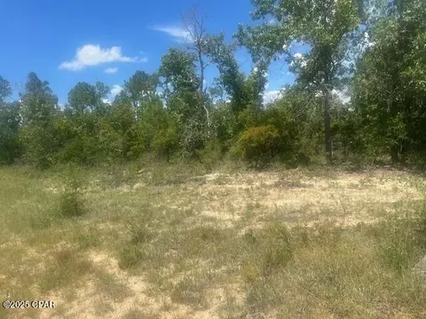 tbd Cachet Ct #9, Chipley, FL 32428 photo 2