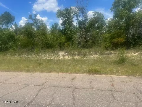 tbd Cachet Ct #9, Chipley, FL 32428 photo 5