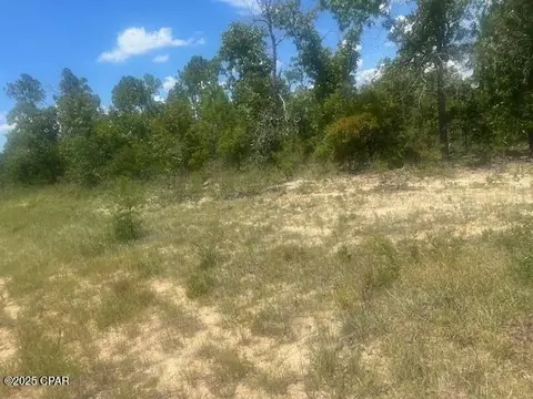 tbd Cachet Ct #9, Chipley, FL 32428