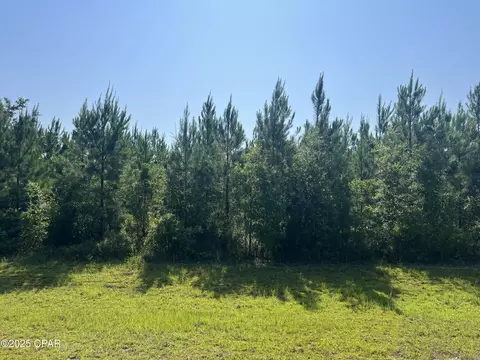 0 SE Nadine Stone Landing Rd, Kinard, FL 32449